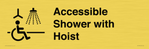 Accessible Shower with Hoist